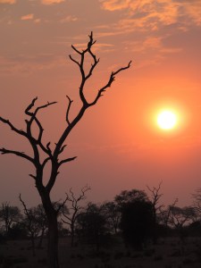 Kruger National Park, SA