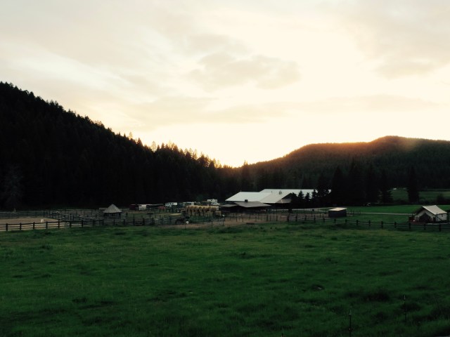 DSCN0660