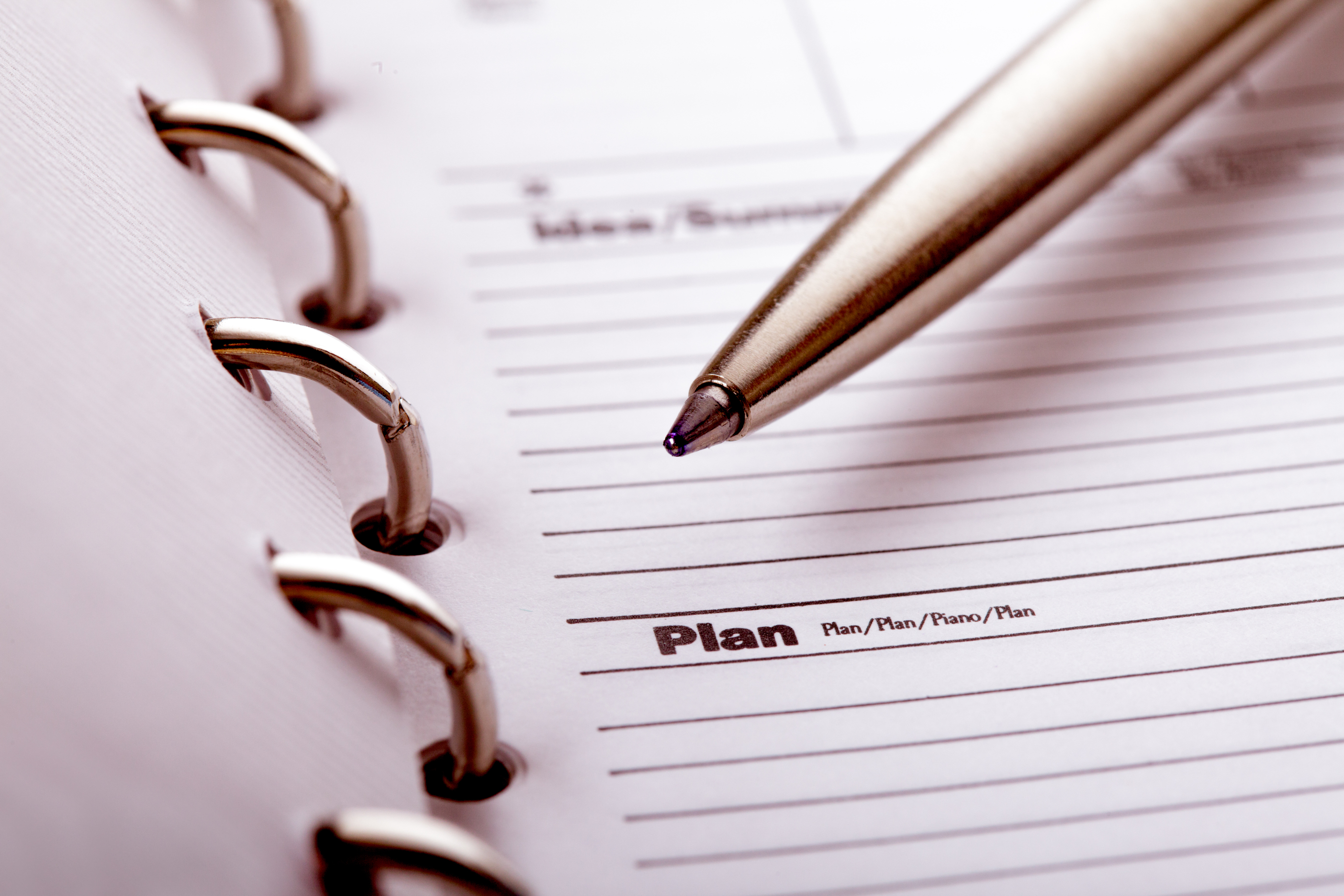 Plan organizer